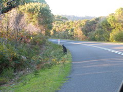 DSCN2489.JPG
