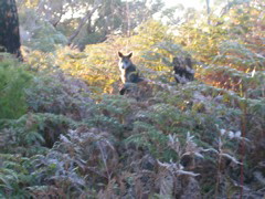 DSCN2491.JPG
