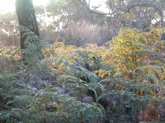 DSCN2492.JPG