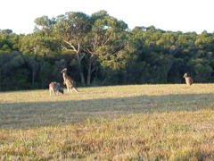 DSCN2493.JPG