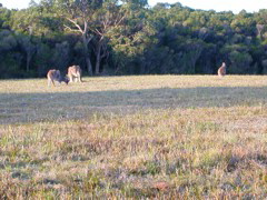 DSCN2494.JPG