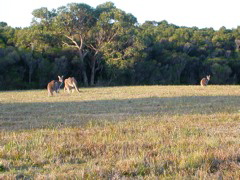 DSCN2495.JPG