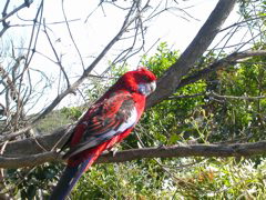 DSCN2459.JPG