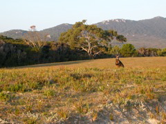 DSCN2497.JPG