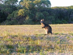 DSCN2499.JPG