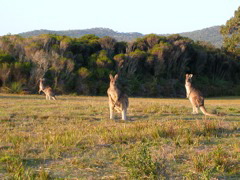 DSCN2500.JPG