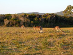 DSCN2501.JPG