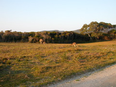 DSCN2502.JPG