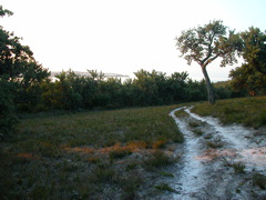 DSCN2503.JPG