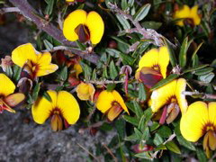 DSCN2505.JPG