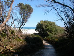 DSCN2462.JPG