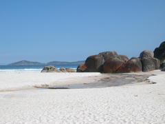 DSCN2463.JPG