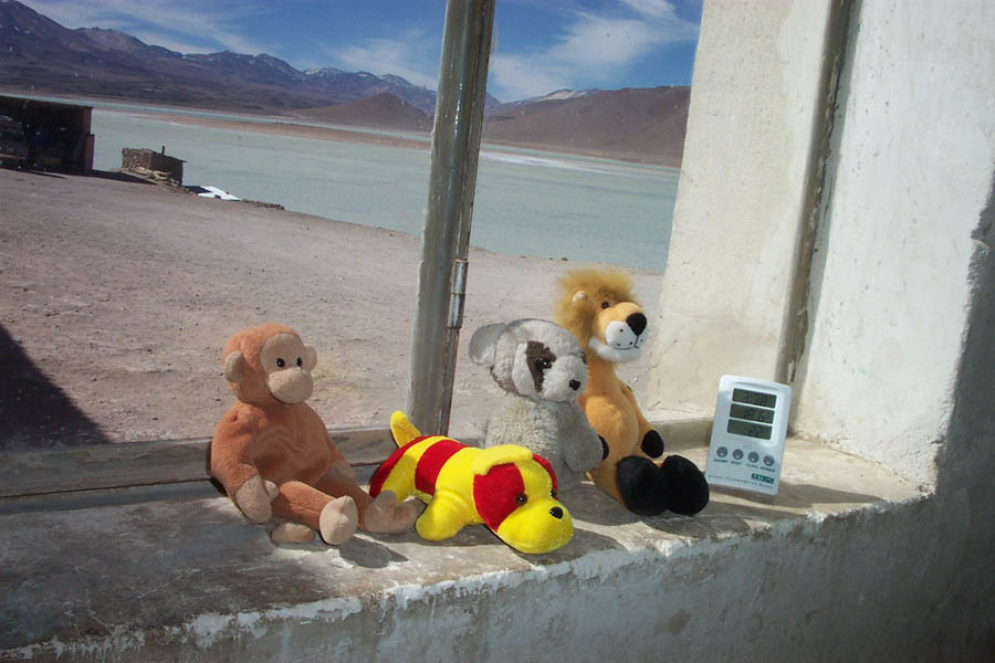 051 - animals and temperature