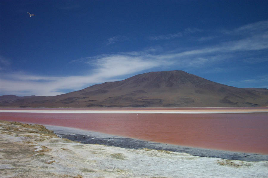 063 - mas