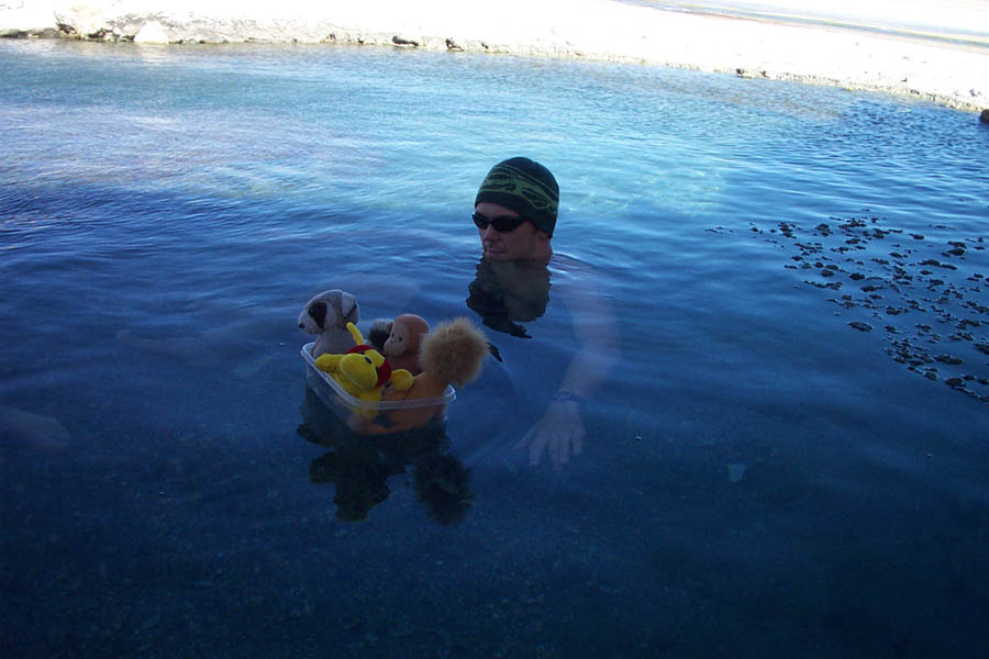 068 - animals y andy