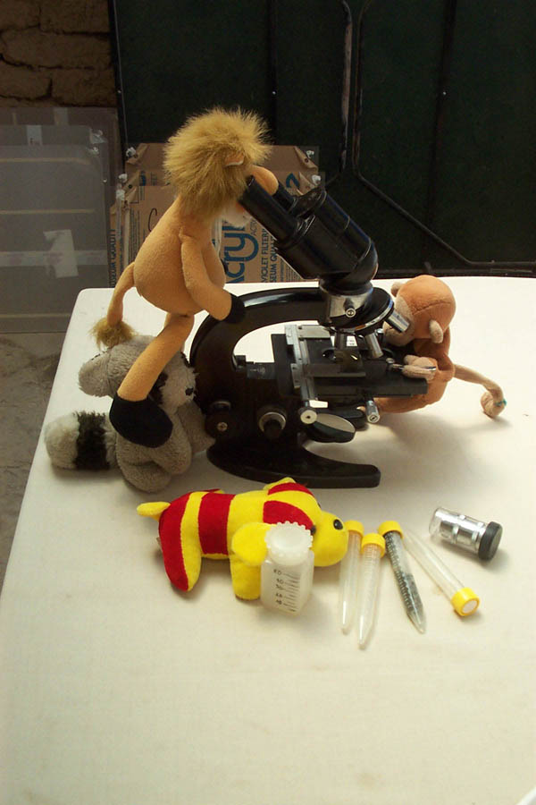 094 - animals at work