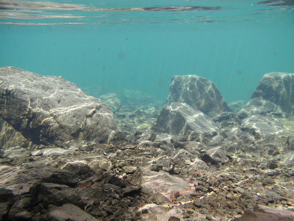 125 - underwater1