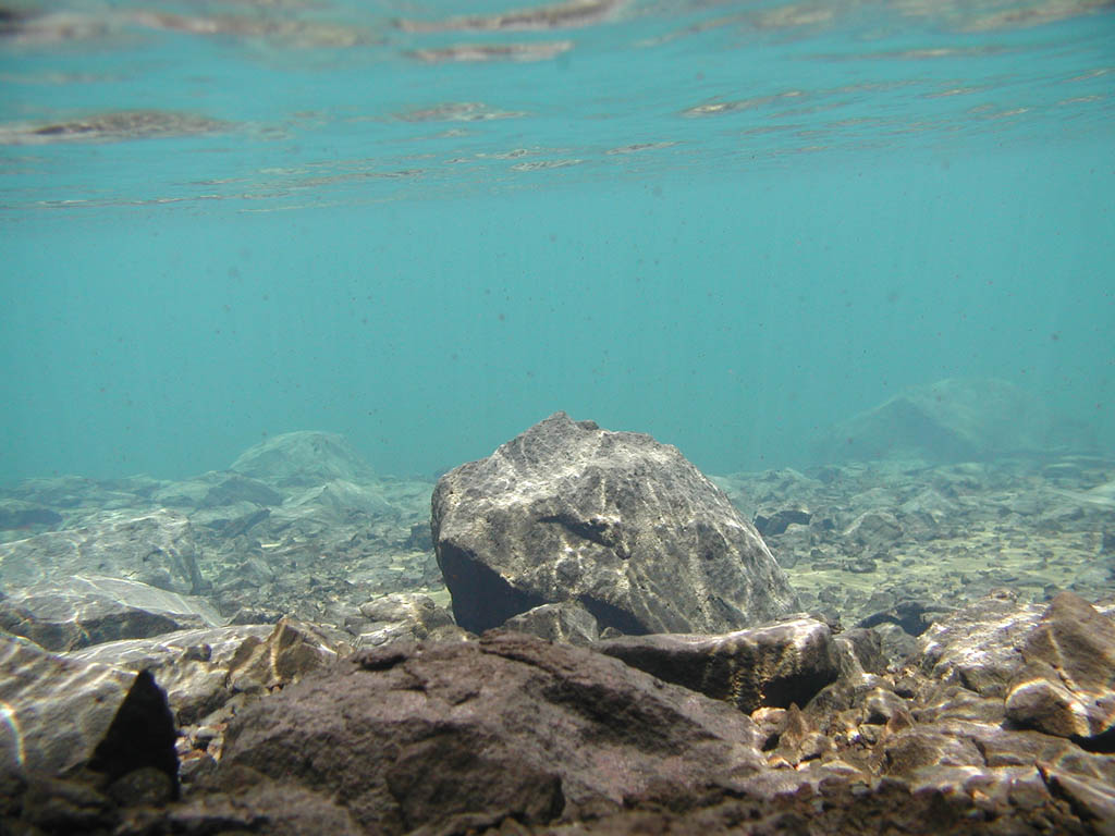 128 - underwater4