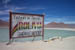 050 - animals in bolivia