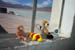 051 - animals and temperature