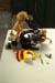 094 - animals at work