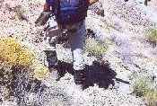 Why limestone is so dangerous to your health (and pride).